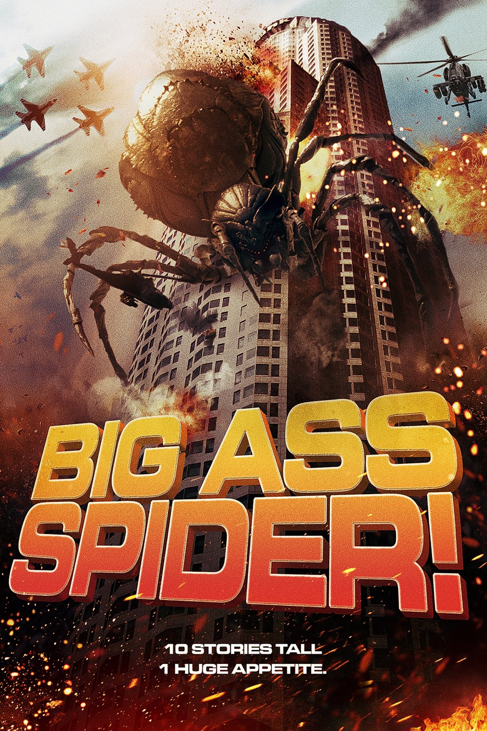 Big Ass Spider ! 