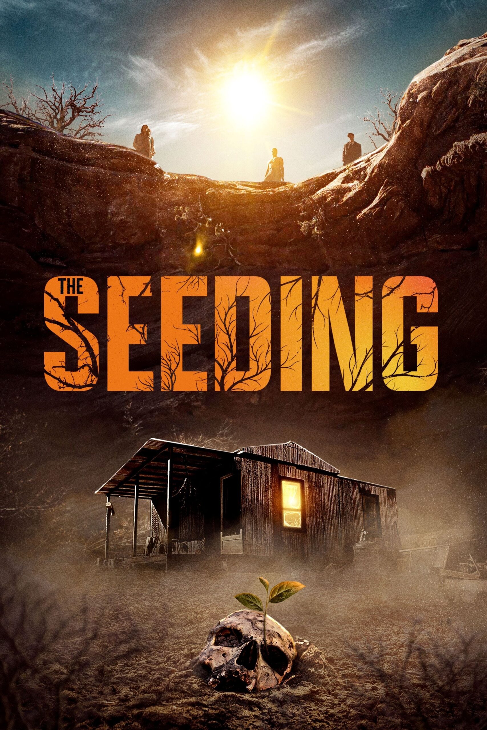 The Seeding 